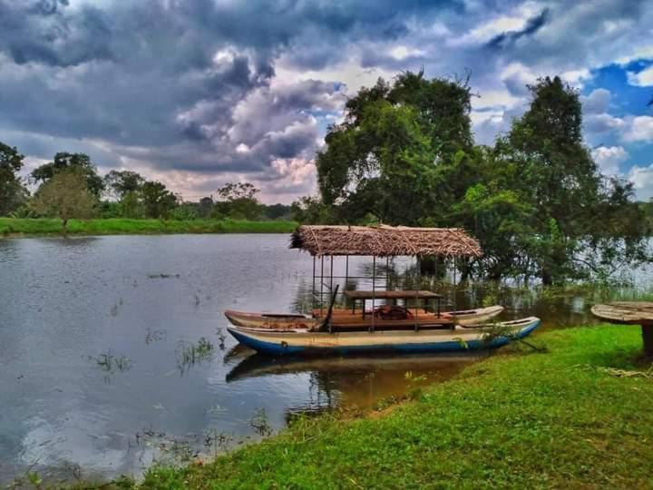 Elephant Safari Lodge Sigiriya Junction Хабарана Экстерьер фото