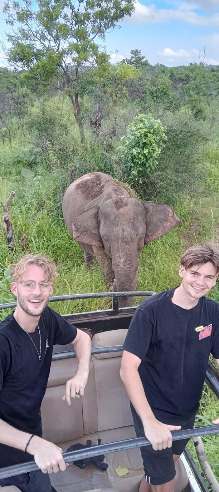 Elephant Safari Lodge Sigiriya Junction Хабарана Экстерьер фото